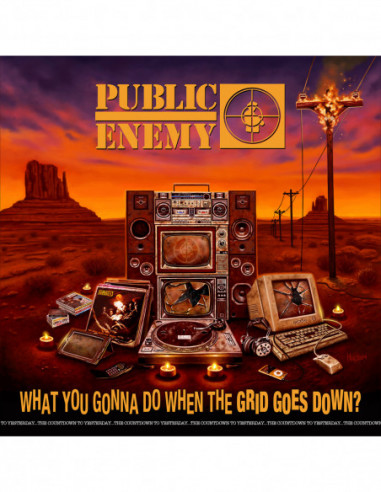 Public Enemy - What You Gonna Do When...