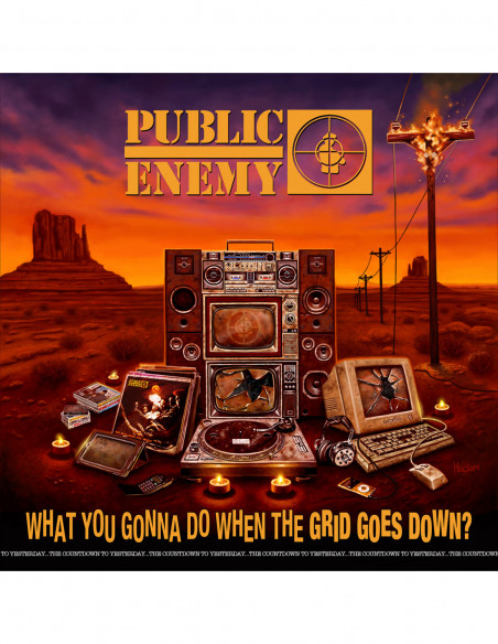 Public Enemy - What You Gonna Do When The - (CD)