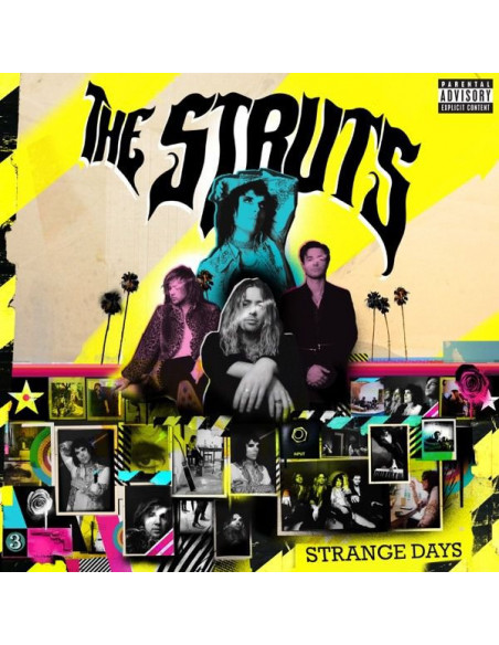 Struts The - Strange Days - (CD)