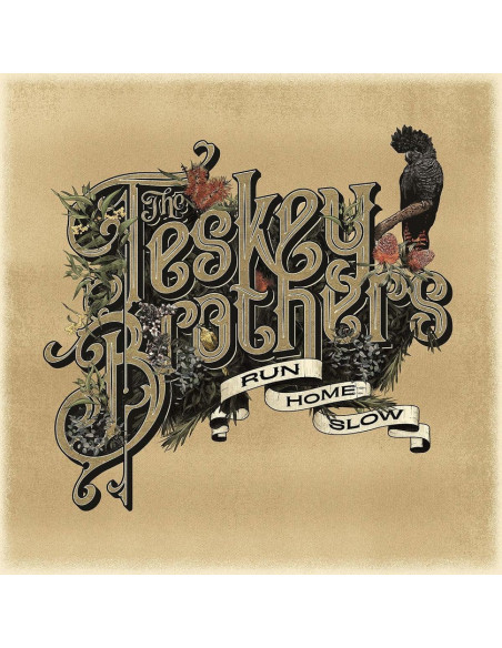 Teskey Brothers - Run Home Slow - (CD)