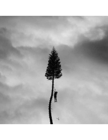 Manchester Orchestra - A Black Mile To The Surface - (CD)