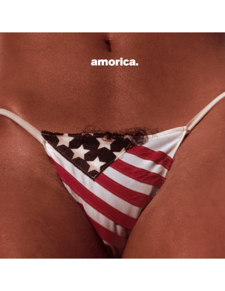 Black Crowes - Amorica - (CD)