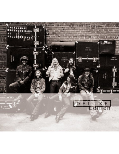 Allman Brothers Band - At Fillmore...