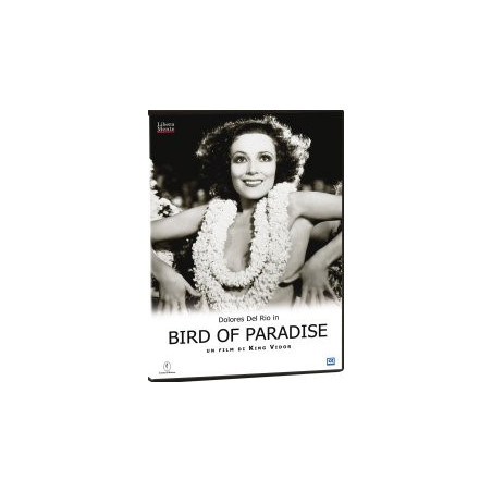 Bird Of Paradise
