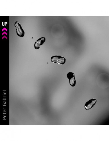 Gabriel Peter - Up - (CD)