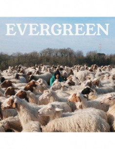 Calcutta - Evergreen...E Altre Canzoni - (CD)