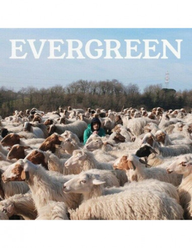 Evergreen - : Calcutta: : CD e Vinili}