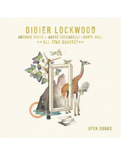 Lockwood Didier - Open Doors - (CD)