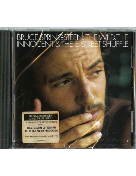 Springsteen Bruce - The Wild, The Innocent And The E Street - (CD)