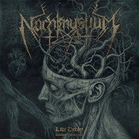 Nachtmystium - Live Decay: Roadburn 2012