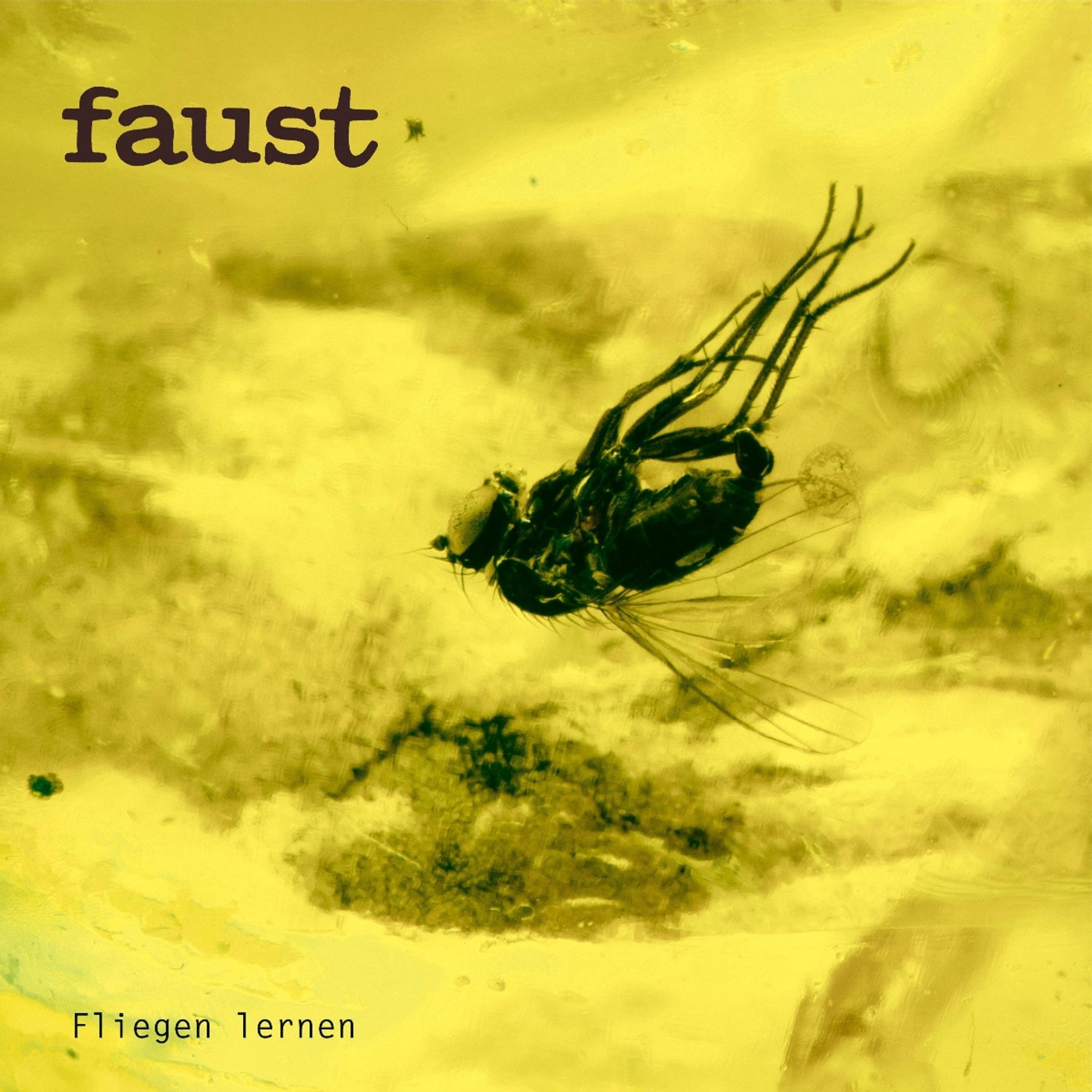 Faust - Fliegen Lernen (Curated By Gunther Wusth) Clear vinyl